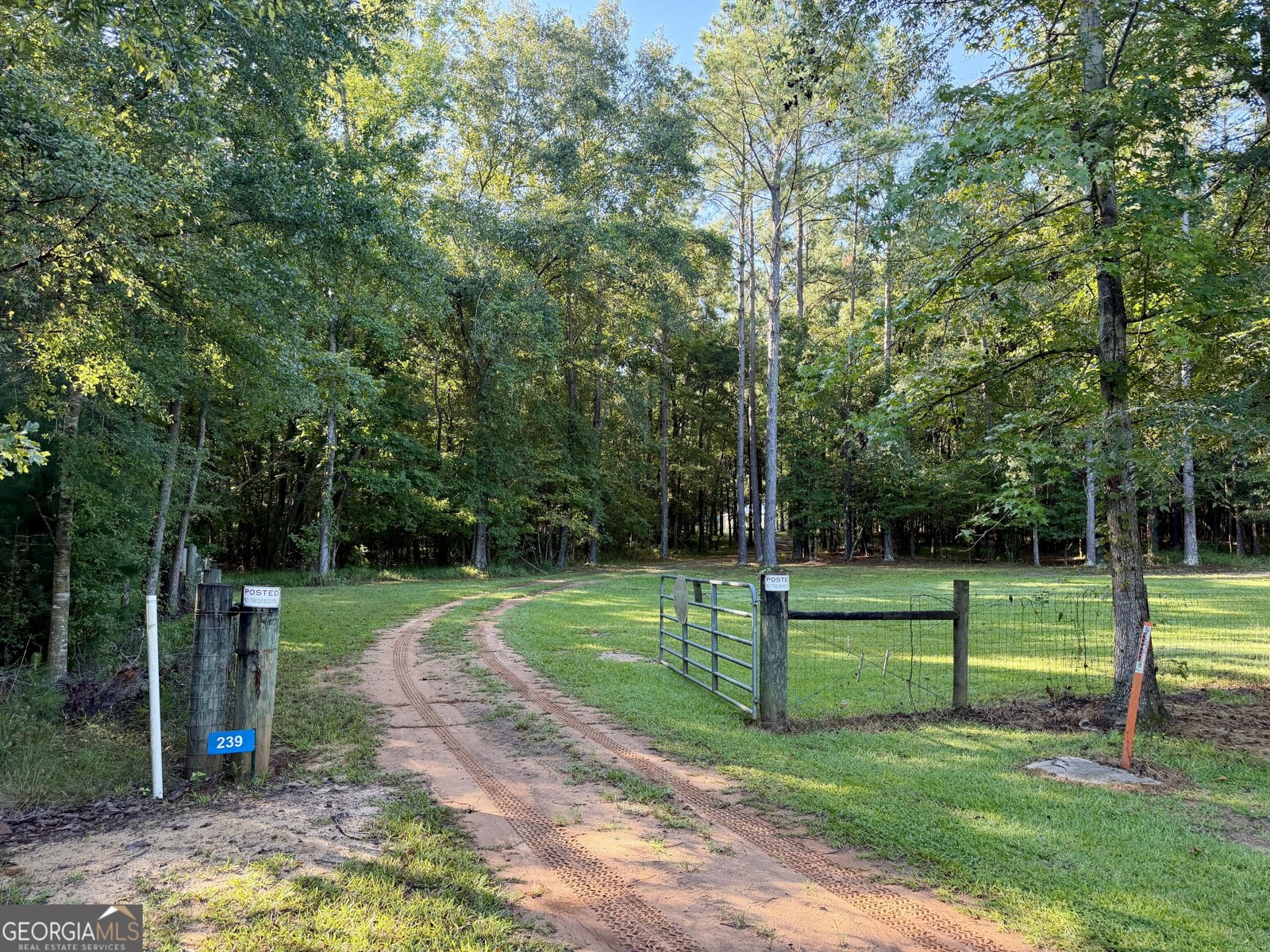 239 Coleman Landing Road Hawkinsville - Photo 13