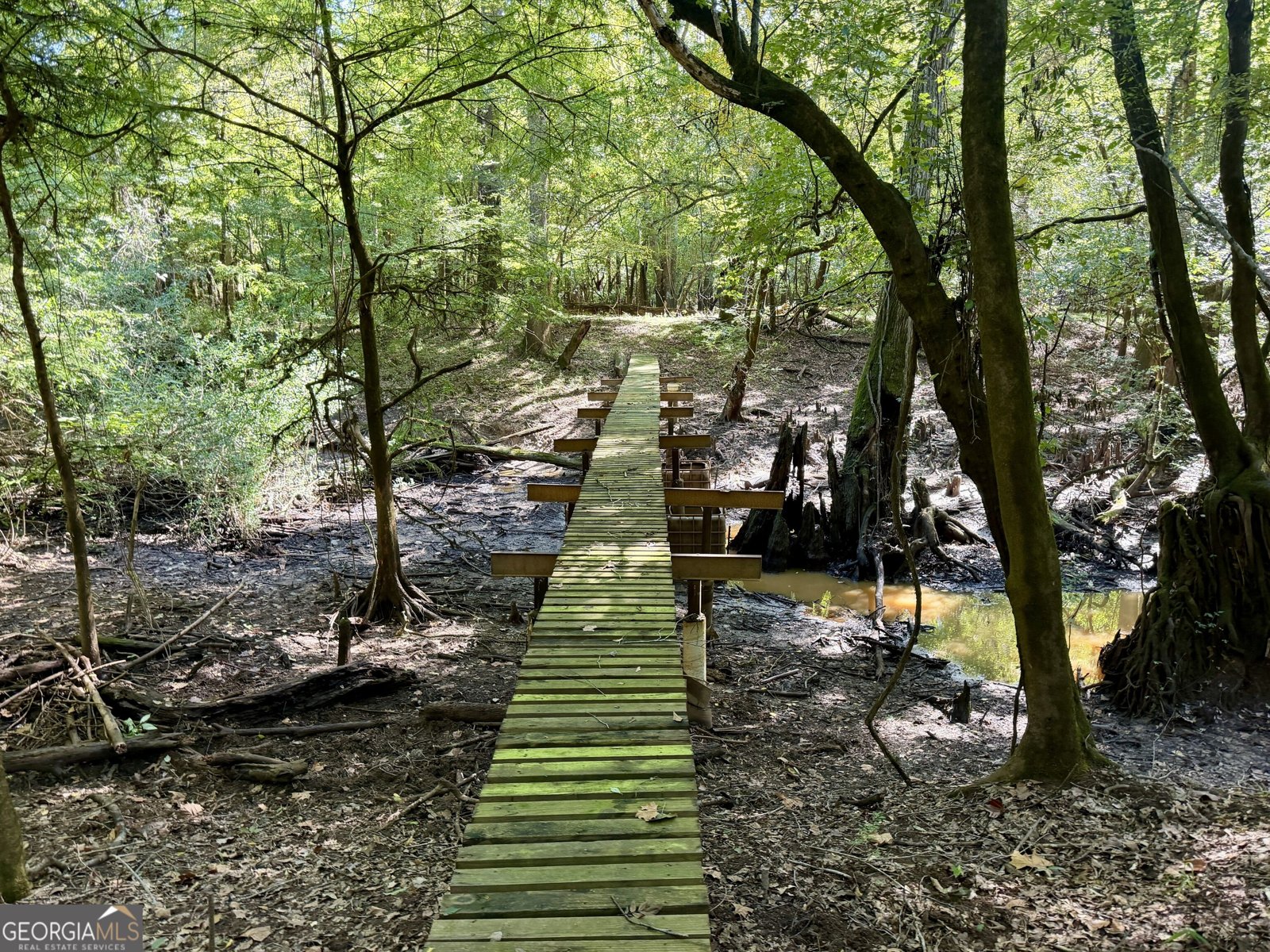 239 Coleman Landing Road Hawkinsville - Photo 15