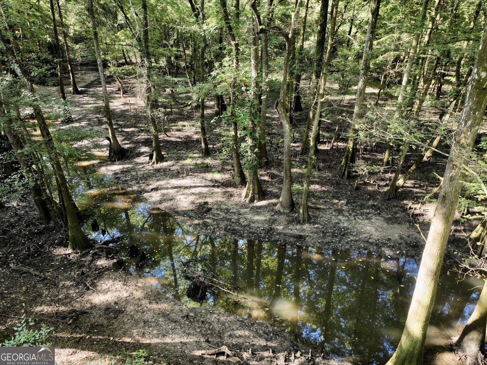 239 Coleman Landing Road Hawkinsville - Photo 16