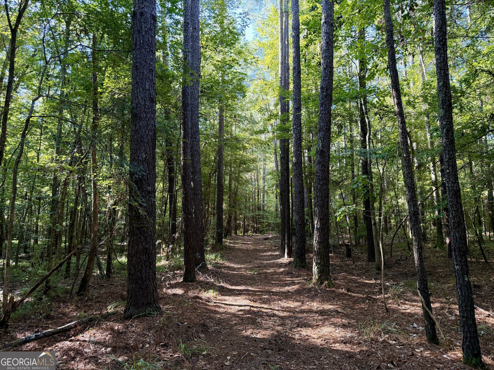 239 Coleman Landing Road Hawkinsville - Photo 19