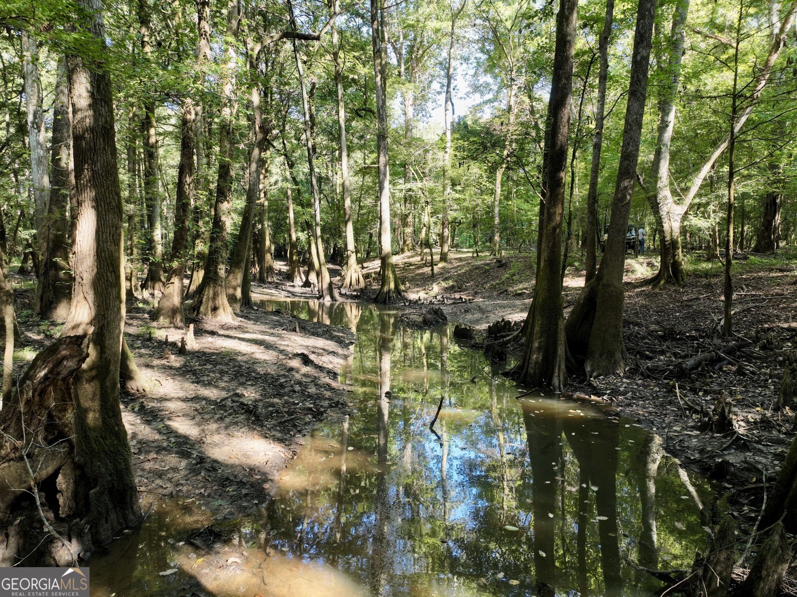 239 Coleman Landing Road Hawkinsville - Photo 20