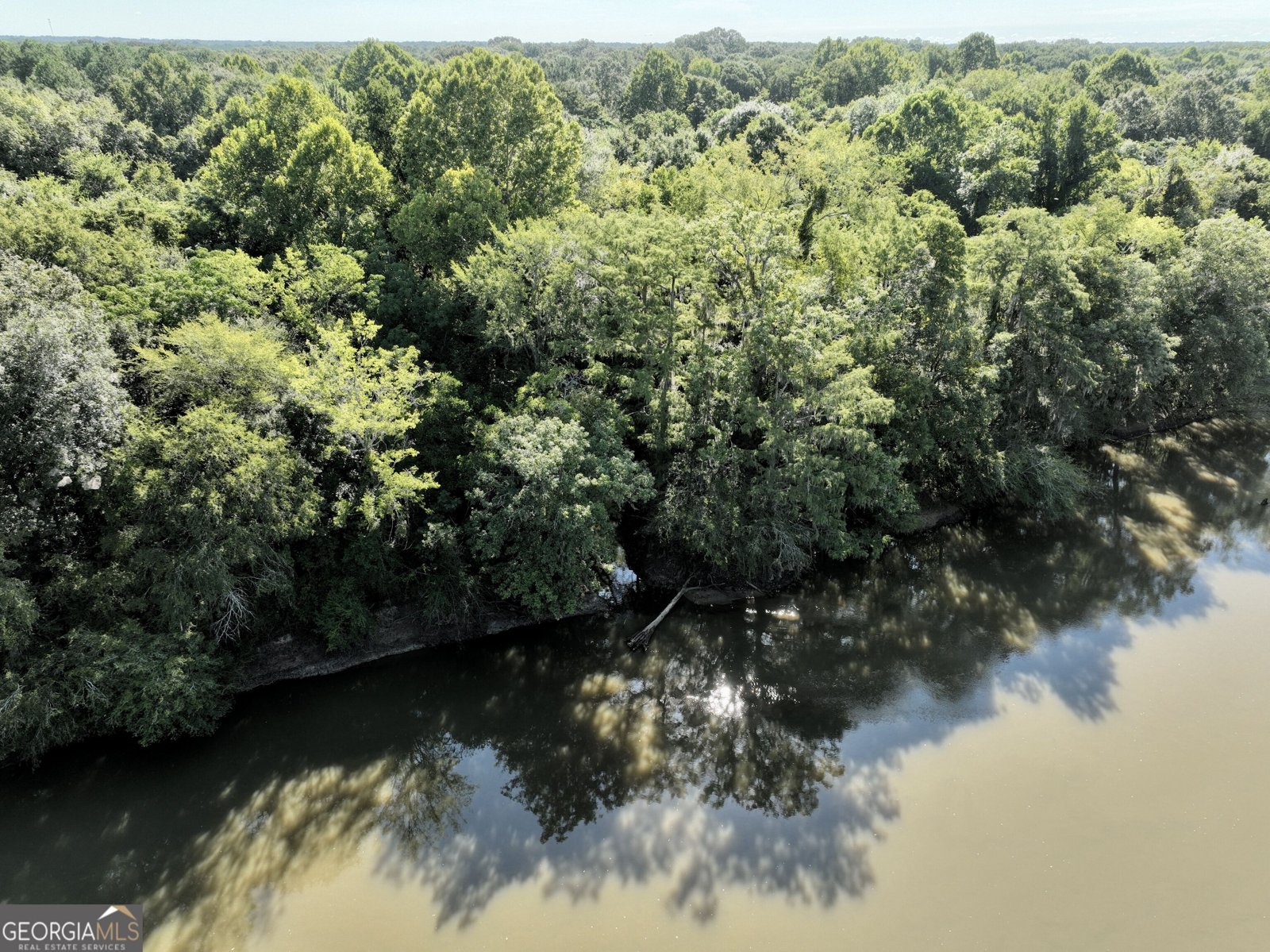 239 Coleman Landing Road Hawkinsville - Photo 23