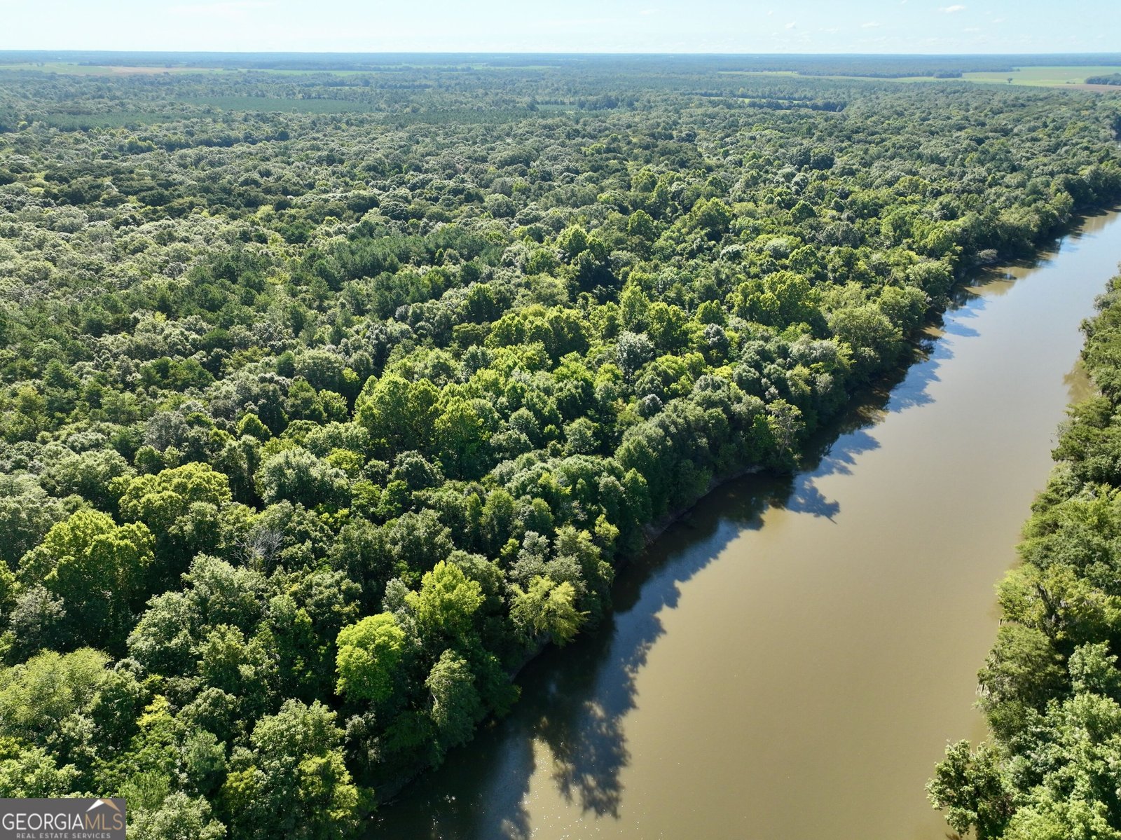 239 Coleman Landing Road Hawkinsville - Photo 24