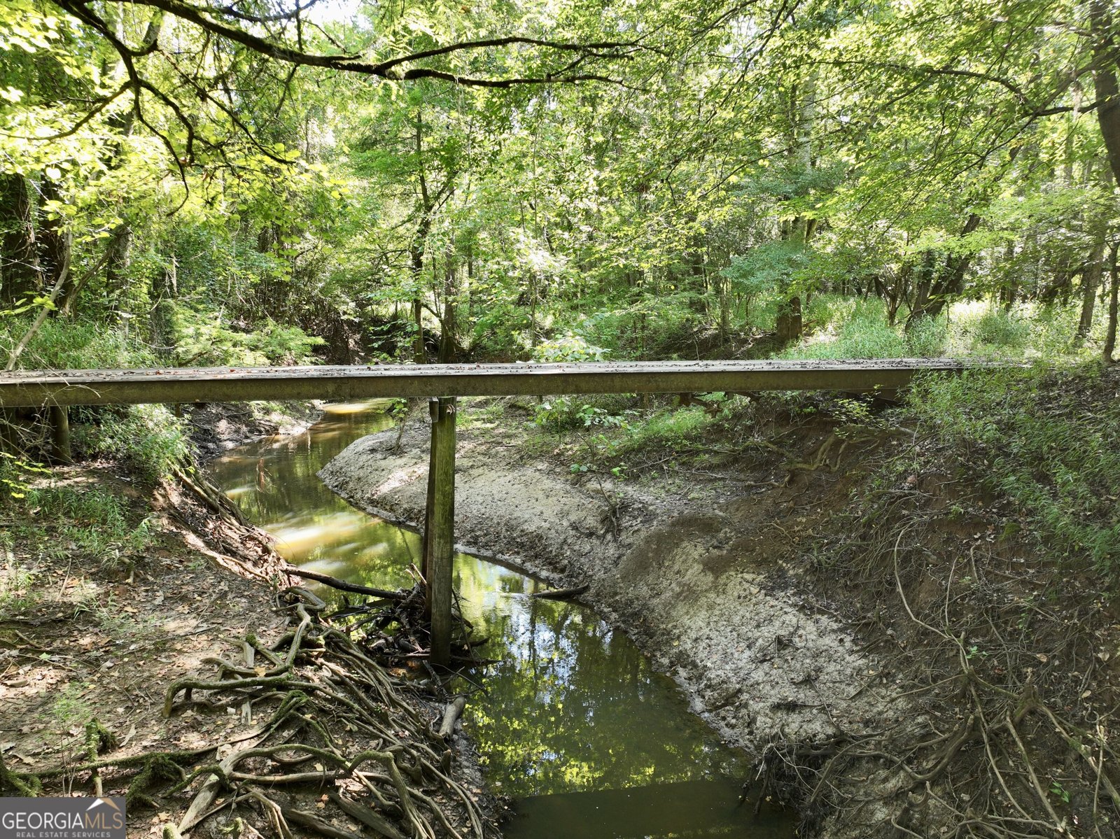 239 Coleman Landing Road Hawkinsville - Photo 26