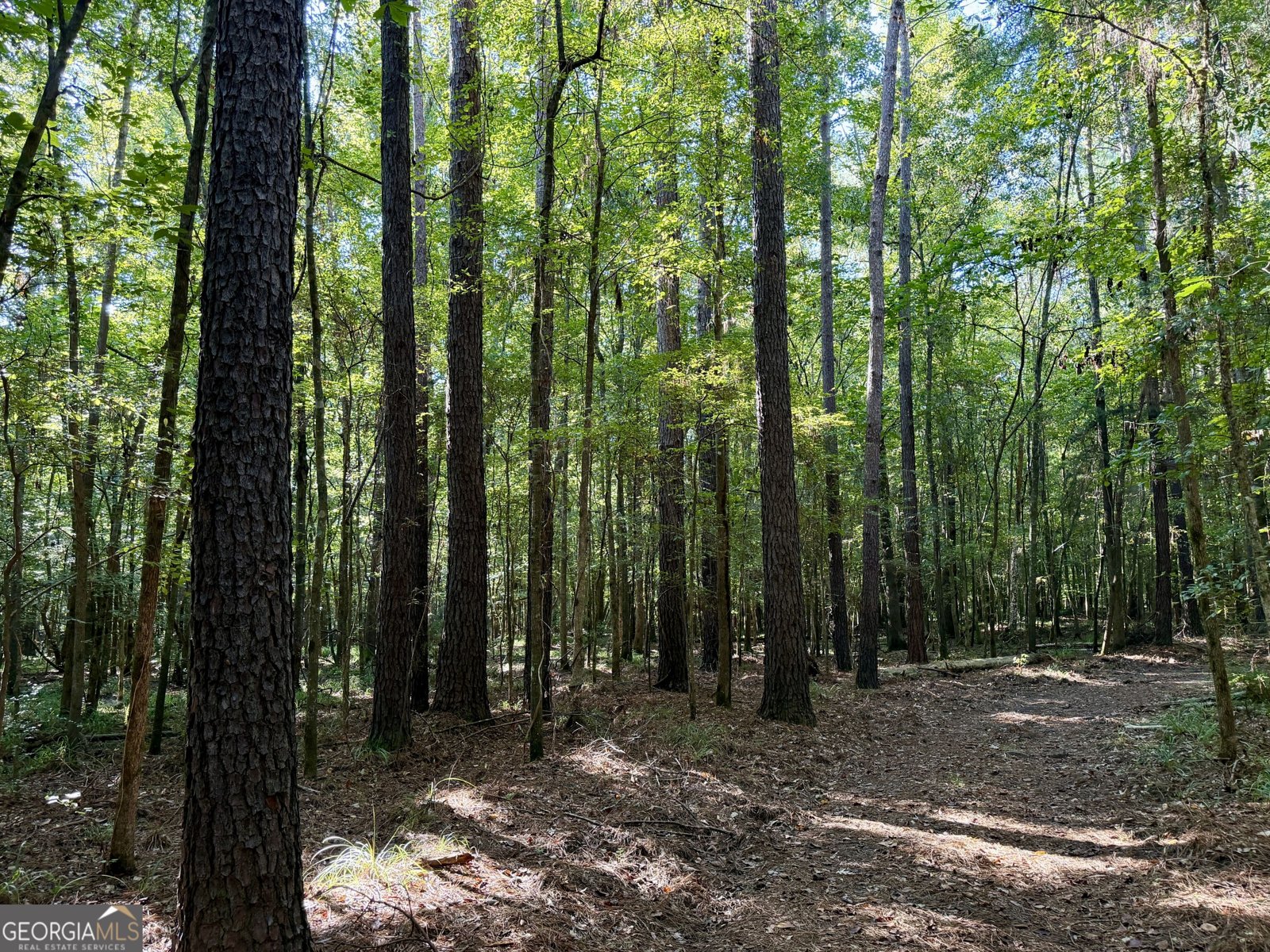239 Coleman Landing Road Hawkinsville - Photo 27