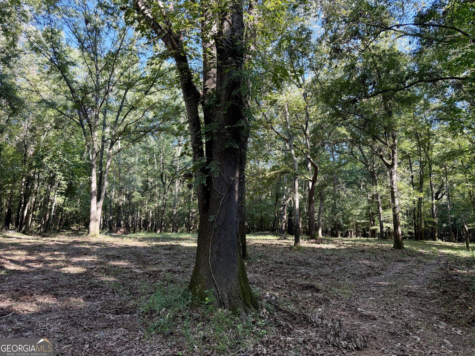 239 Coleman Landing Road Hawkinsville - Photo 28