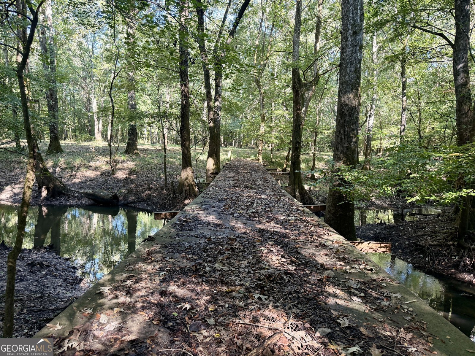 239 Coleman Landing Road Hawkinsville - Photo 29