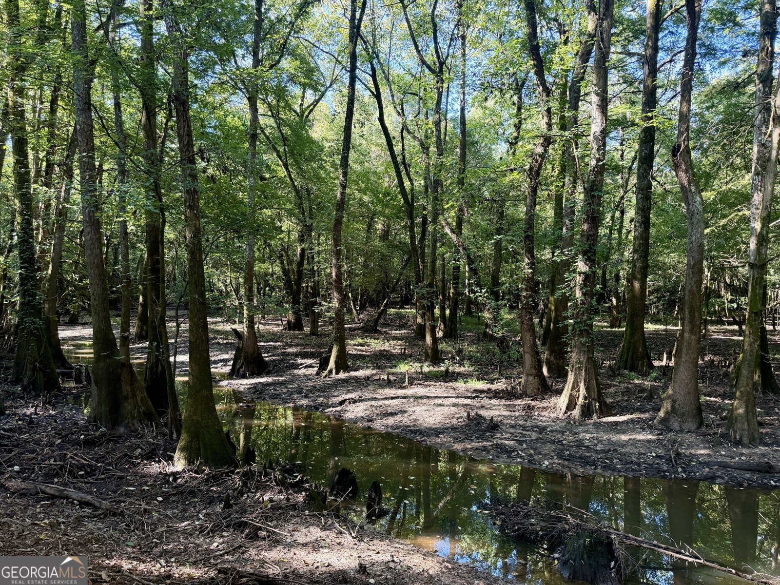239 Coleman Landing Road Hawkinsville - Photo 30