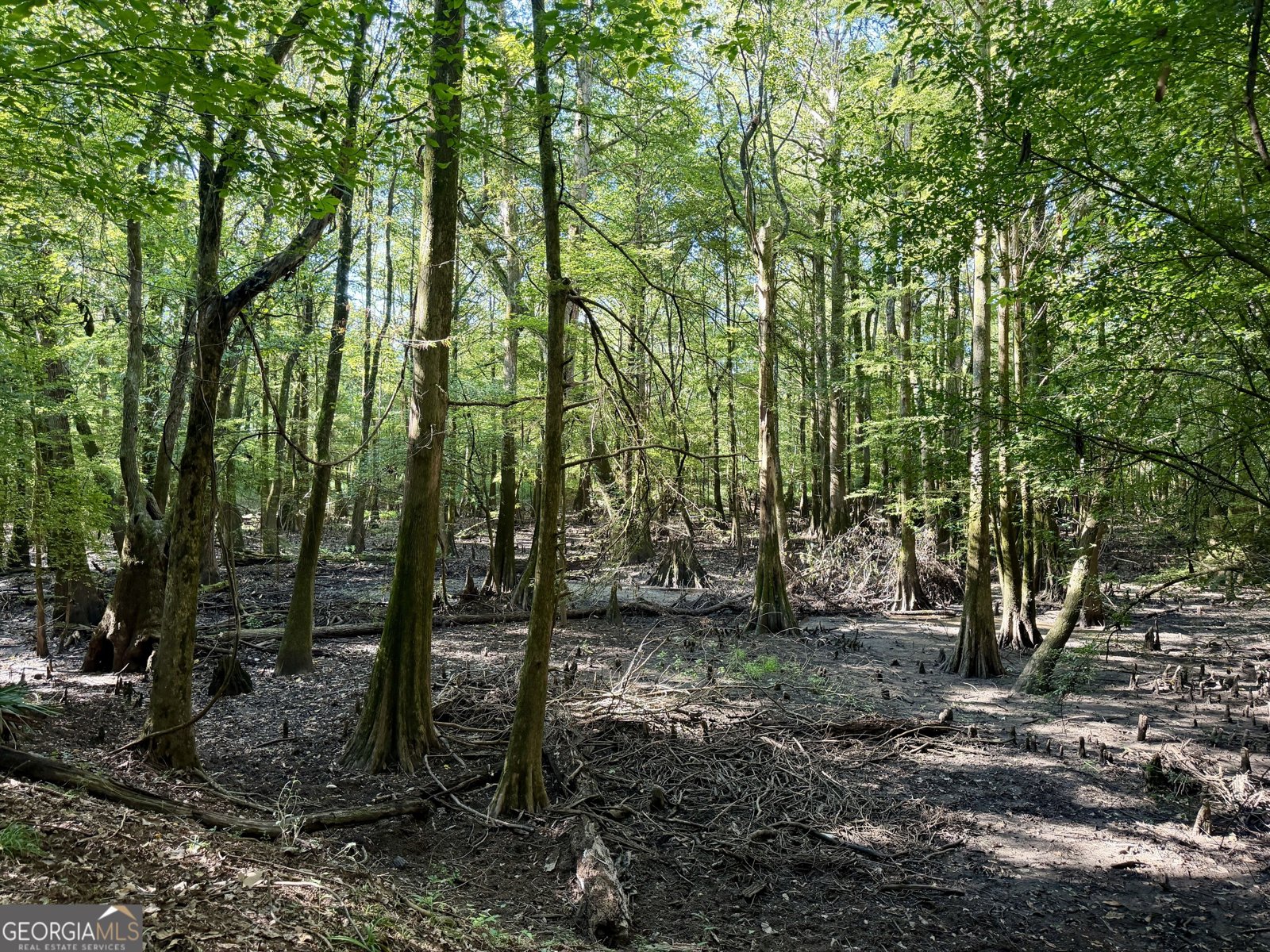 239 Coleman Landing Road Hawkinsville - Photo 31