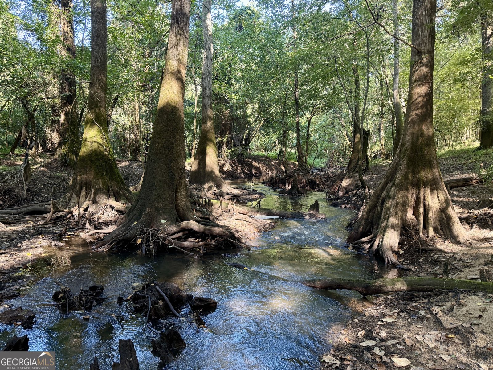 239 Coleman Landing Road Hawkinsville - Photo 33