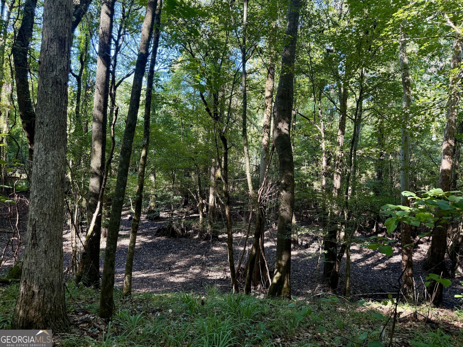 239 Coleman Landing Road Hawkinsville - Photo 34