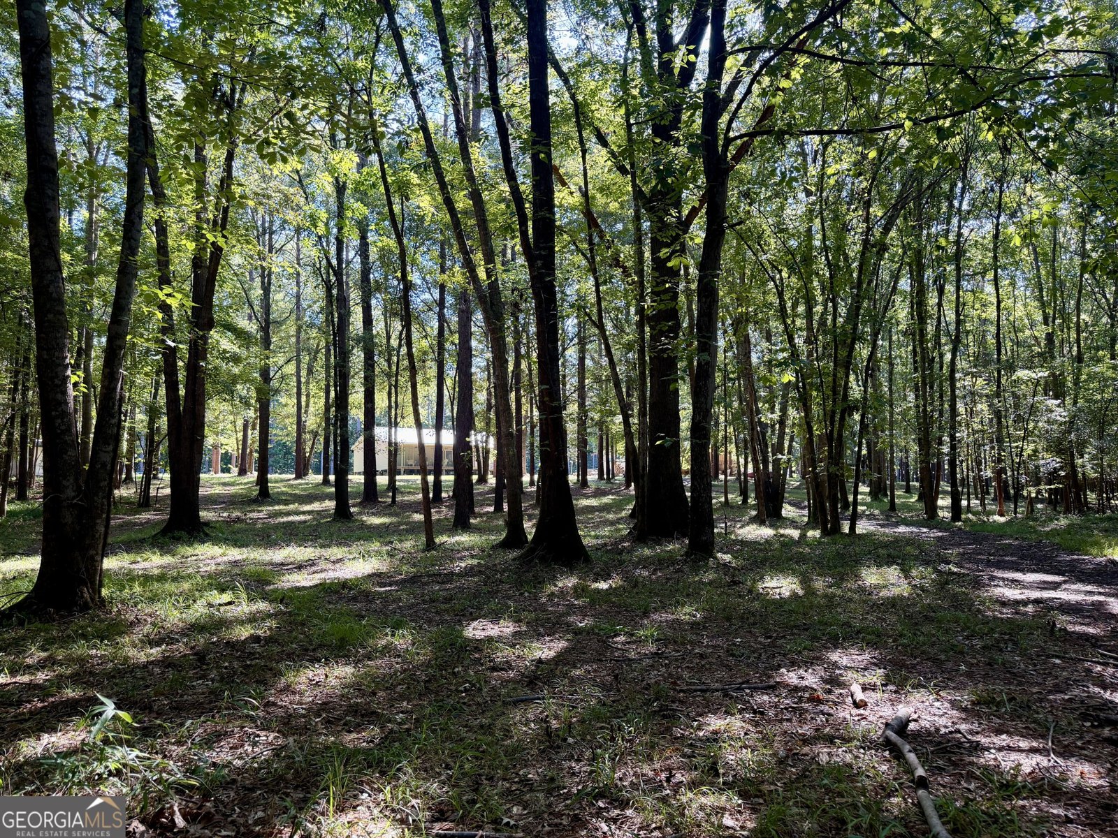 239 Coleman Landing Road Hawkinsville - Photo 35