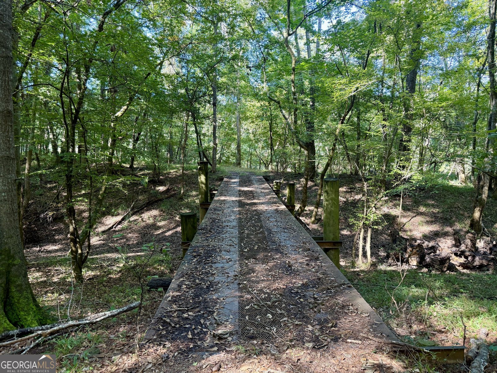 239 Coleman Landing Road Hawkinsville - Photo 36