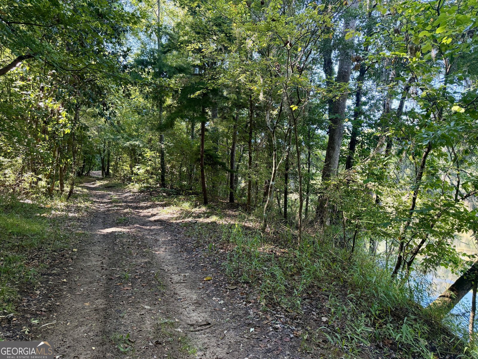 239 Coleman Landing Road Hawkinsville - Photo 37