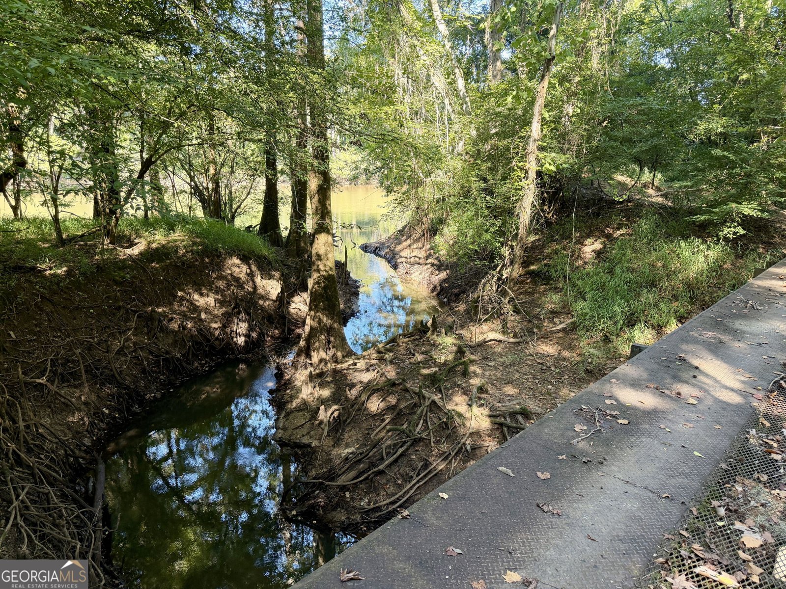 239 Coleman Landing Road Hawkinsville - Photo 38