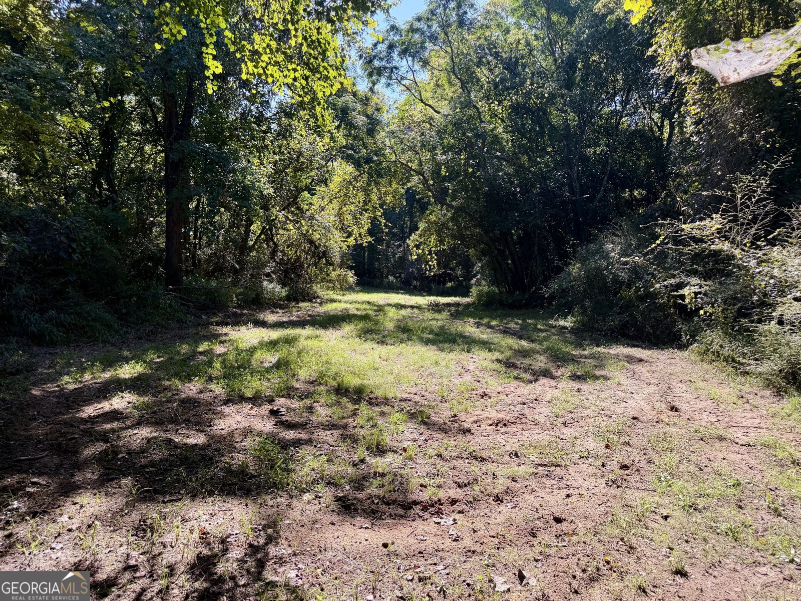 239 Coleman Landing Road Hawkinsville - Photo 39