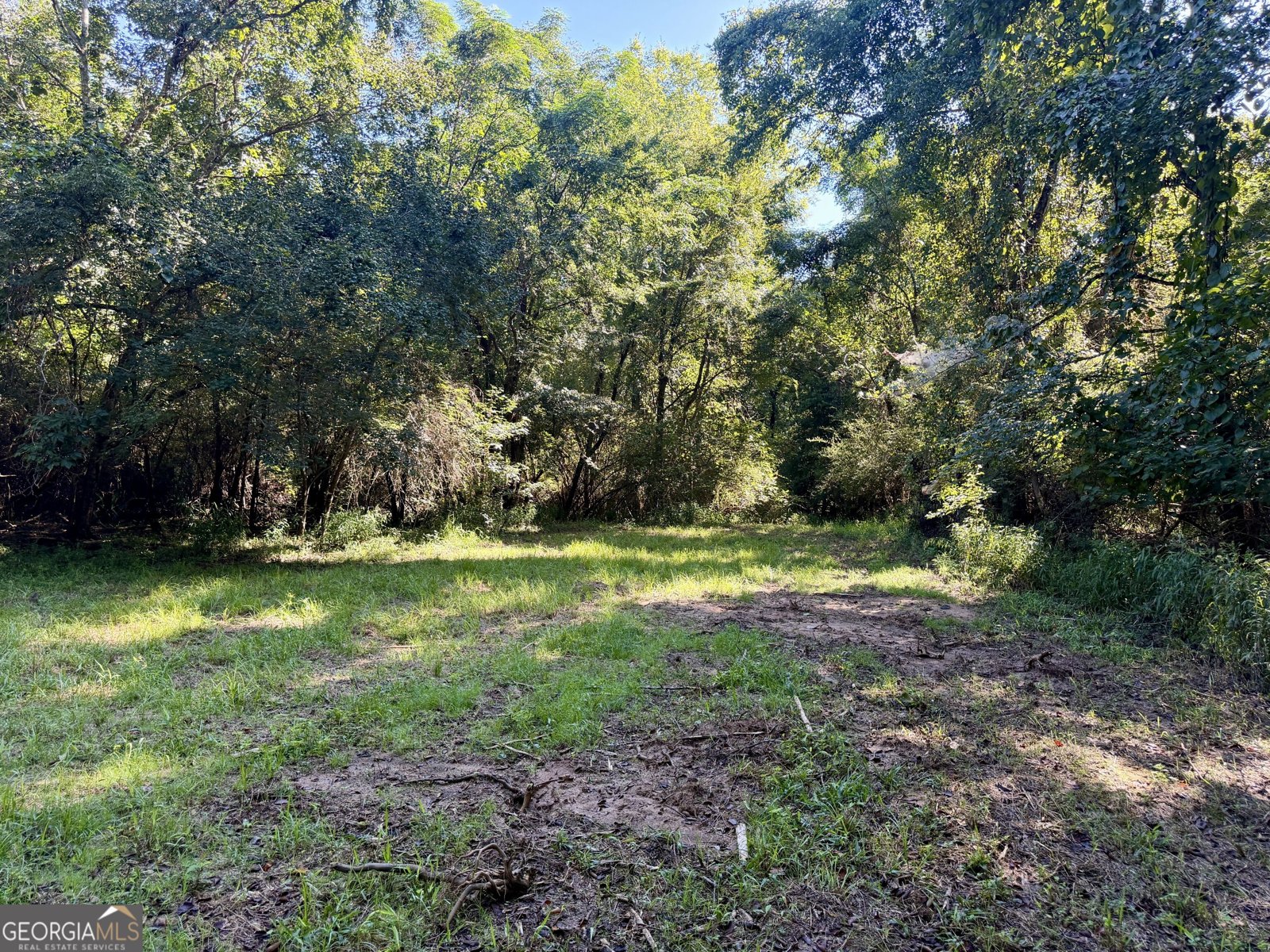 239 Coleman Landing Road Hawkinsville - Photo 40
