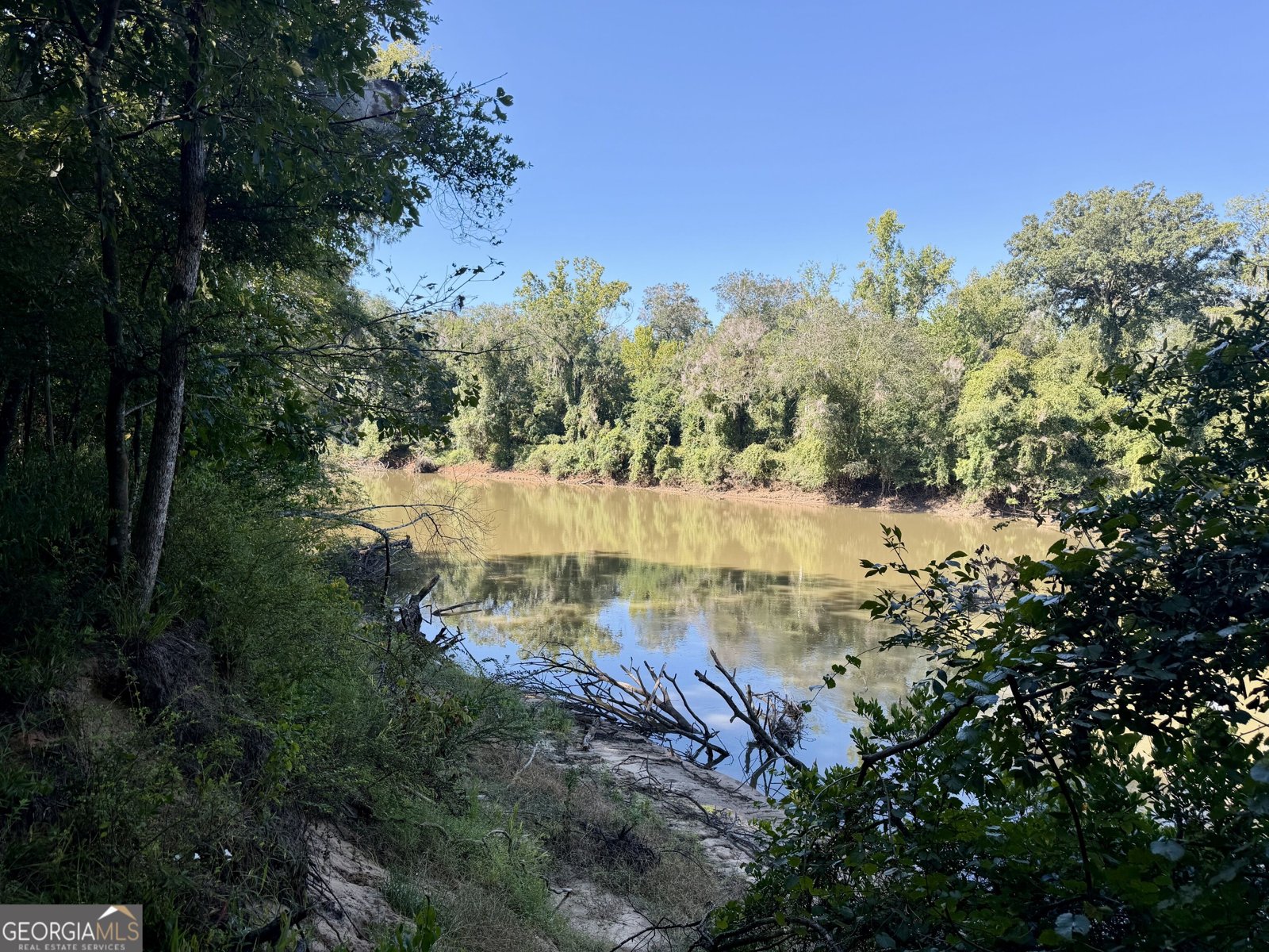 239 Coleman Landing Road Hawkinsville - Photo 41