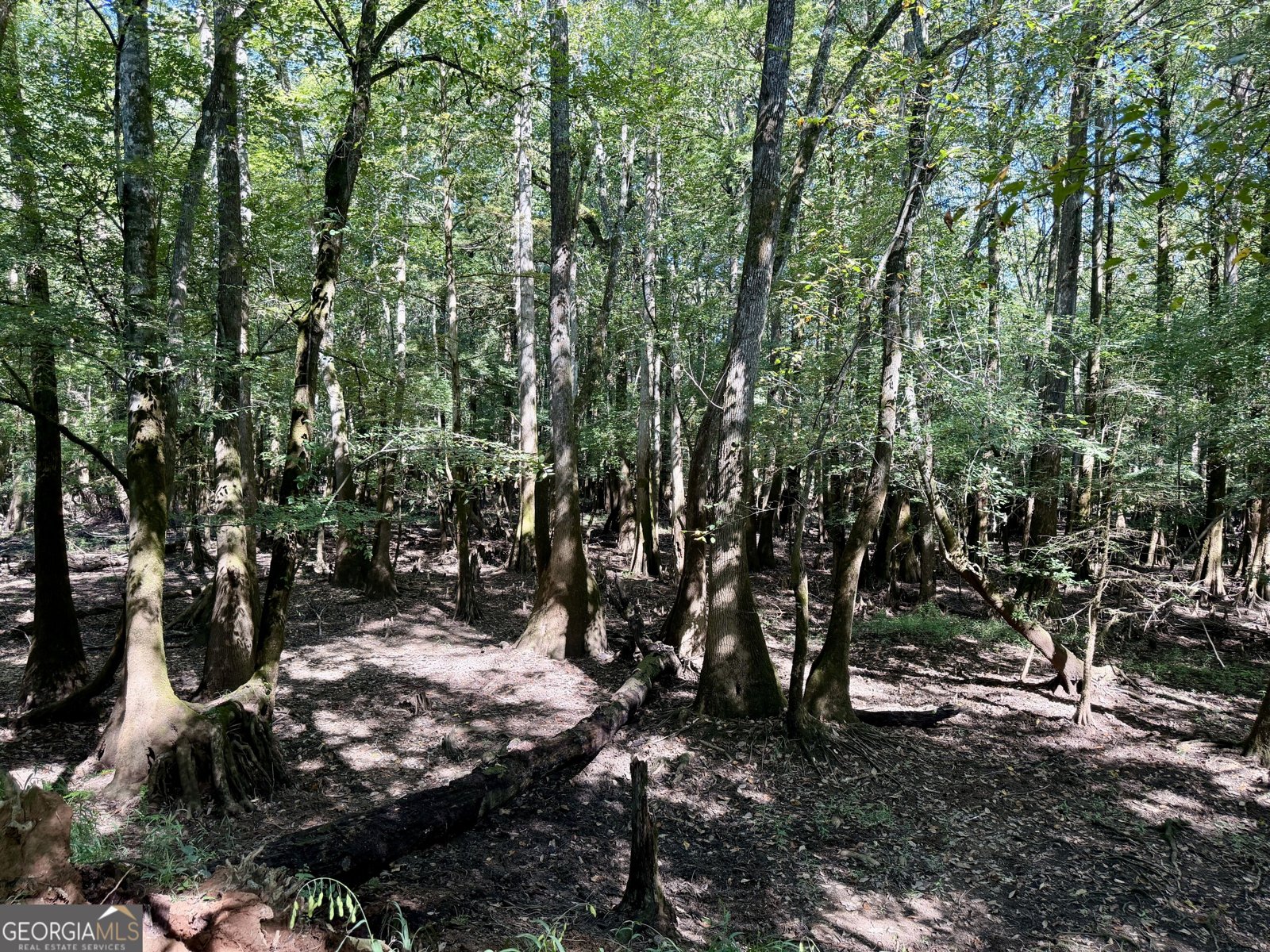 239 Coleman Landing Road Hawkinsville - Photo 43