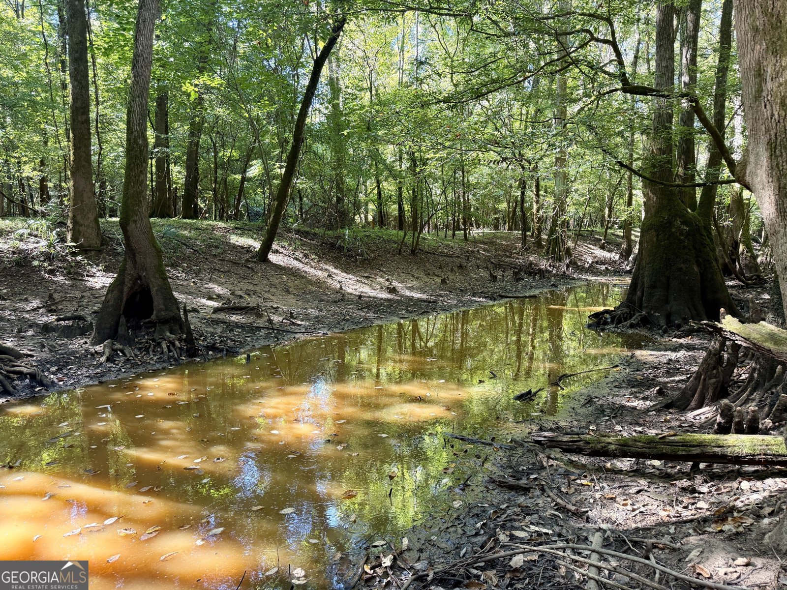 239 Coleman Landing Road Hawkinsville - Photo 44