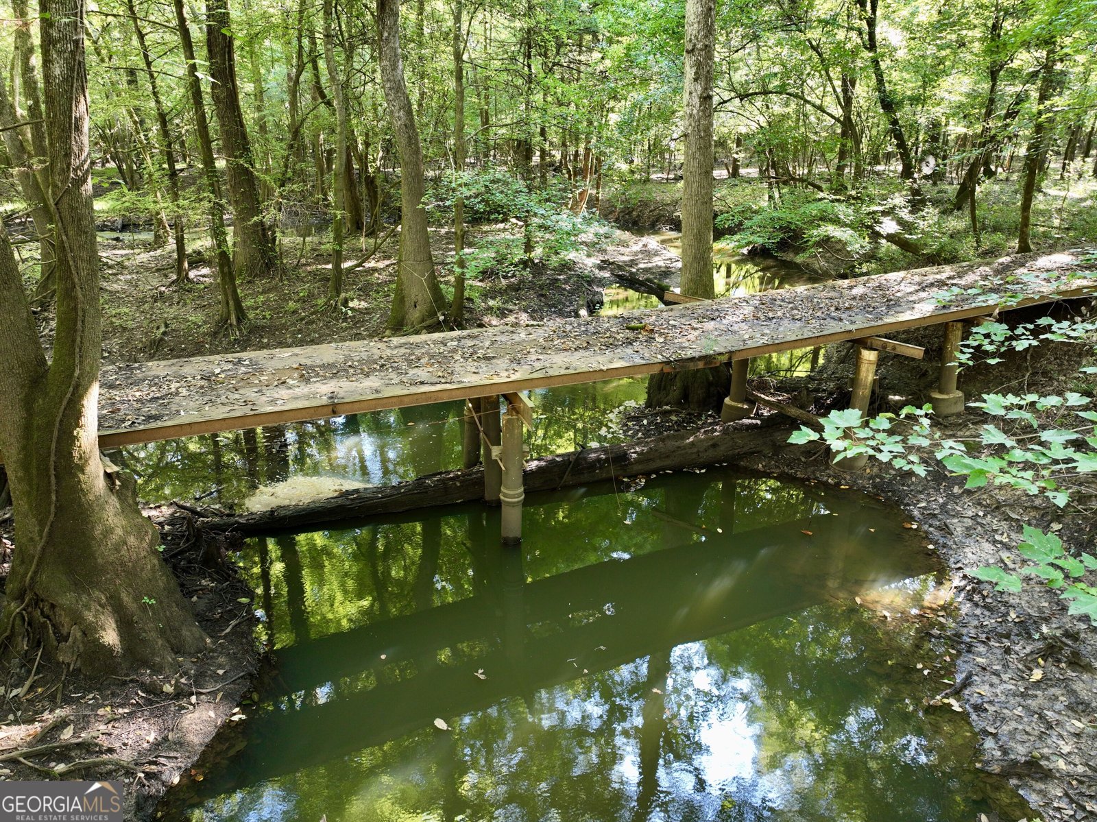 239 Coleman Landing Road Hawkinsville - Photo 6