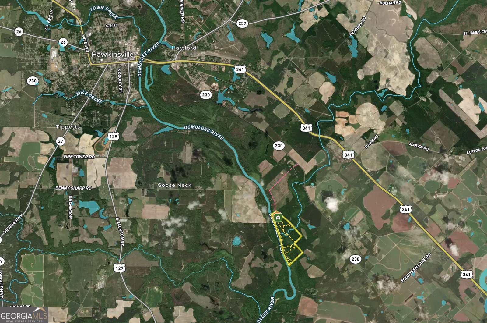 239 Coleman Landing Road Hawkinsville - Photo 7