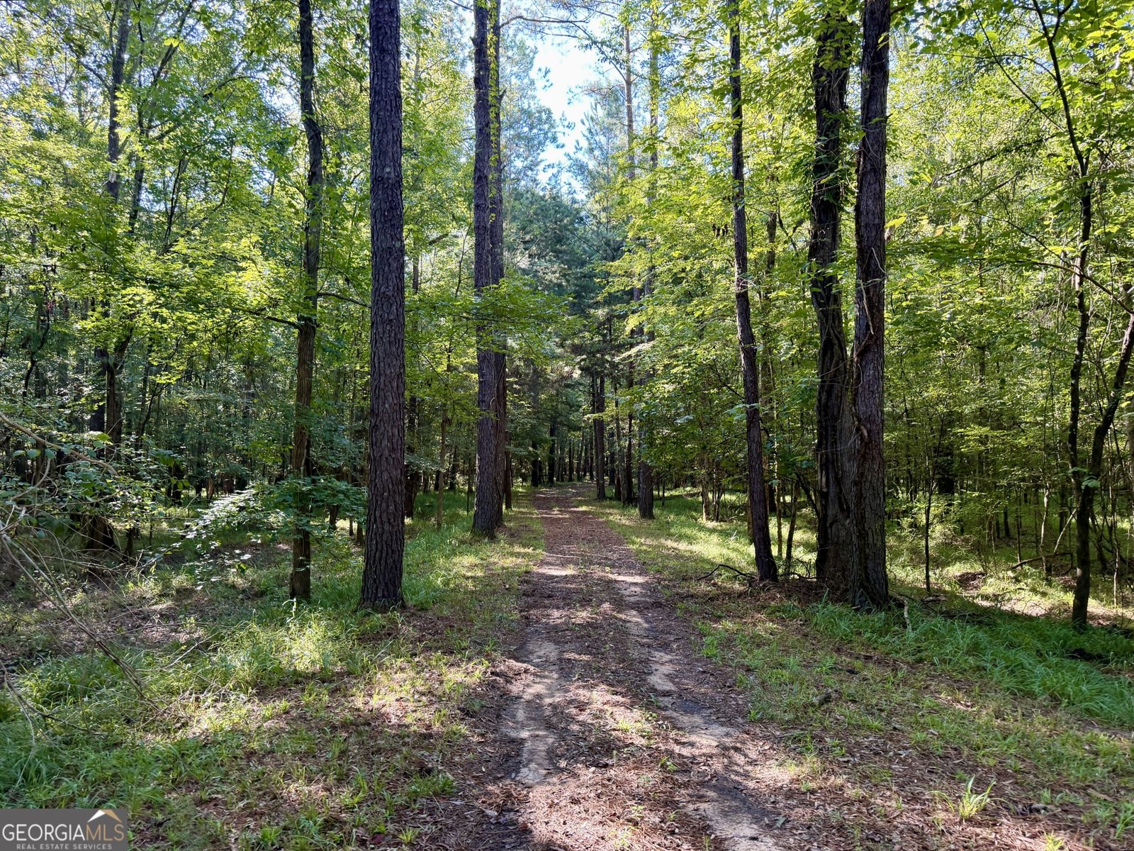 239 Coleman Landing Road Hawkinsville - Photo 8
