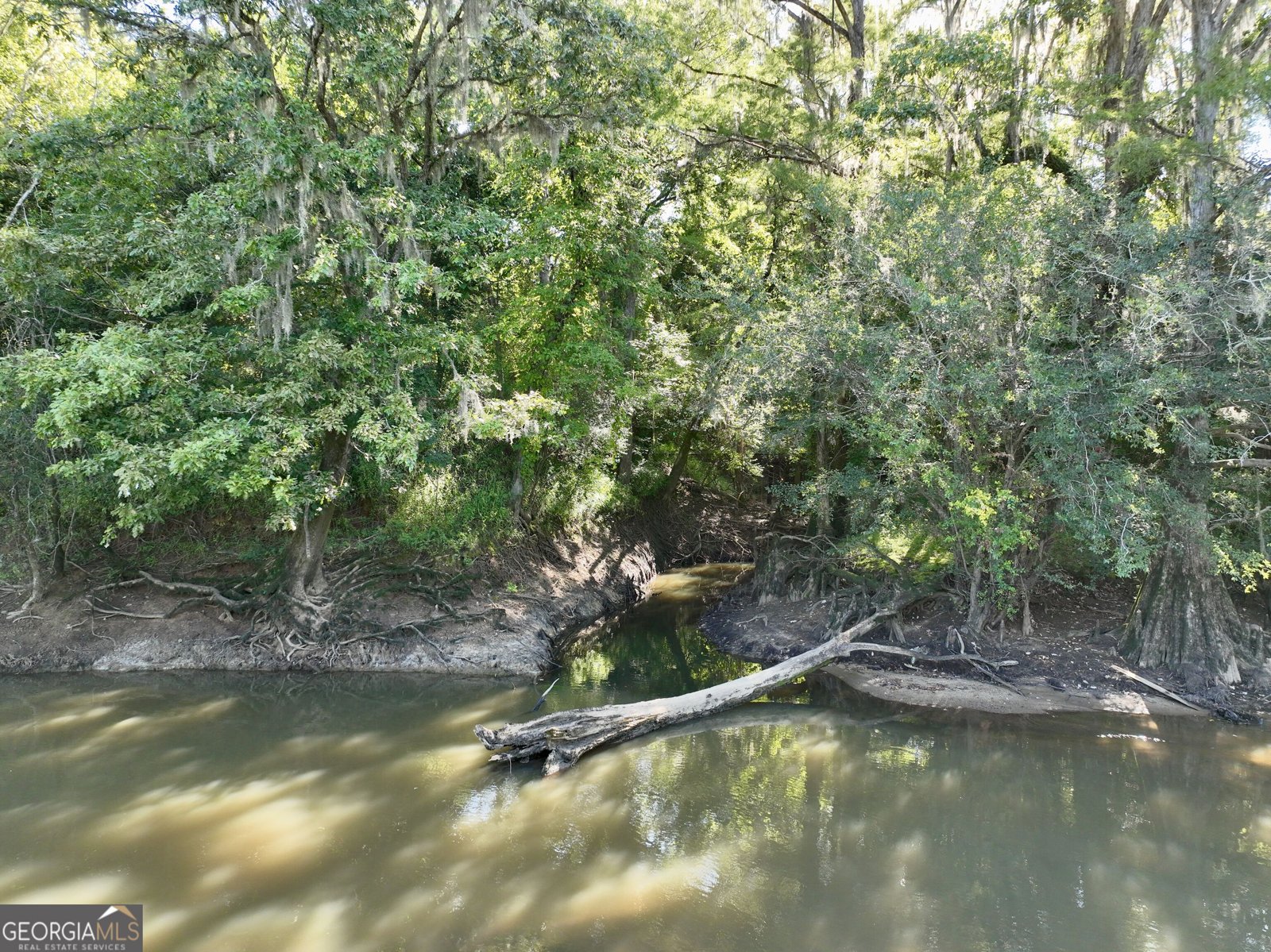 239 Coleman Landing Road Hawkinsville - Photo 9