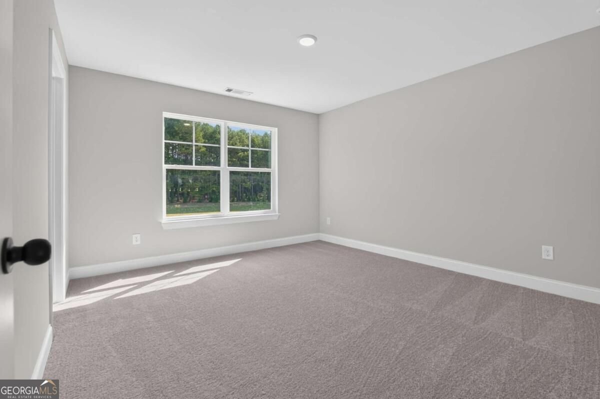 4373 Mary Ruth Way Loganville - Photo 55