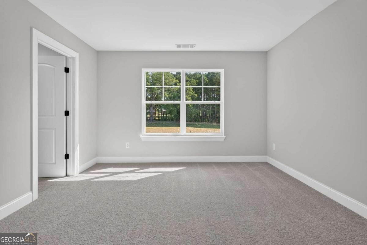 4373 Mary Ruth Way Loganville - Photo 57