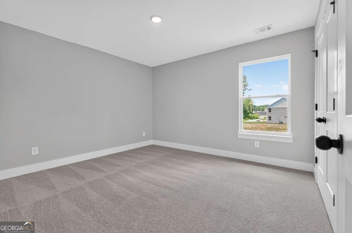 4543 Mary Ruth Way Loganville - Photo 59