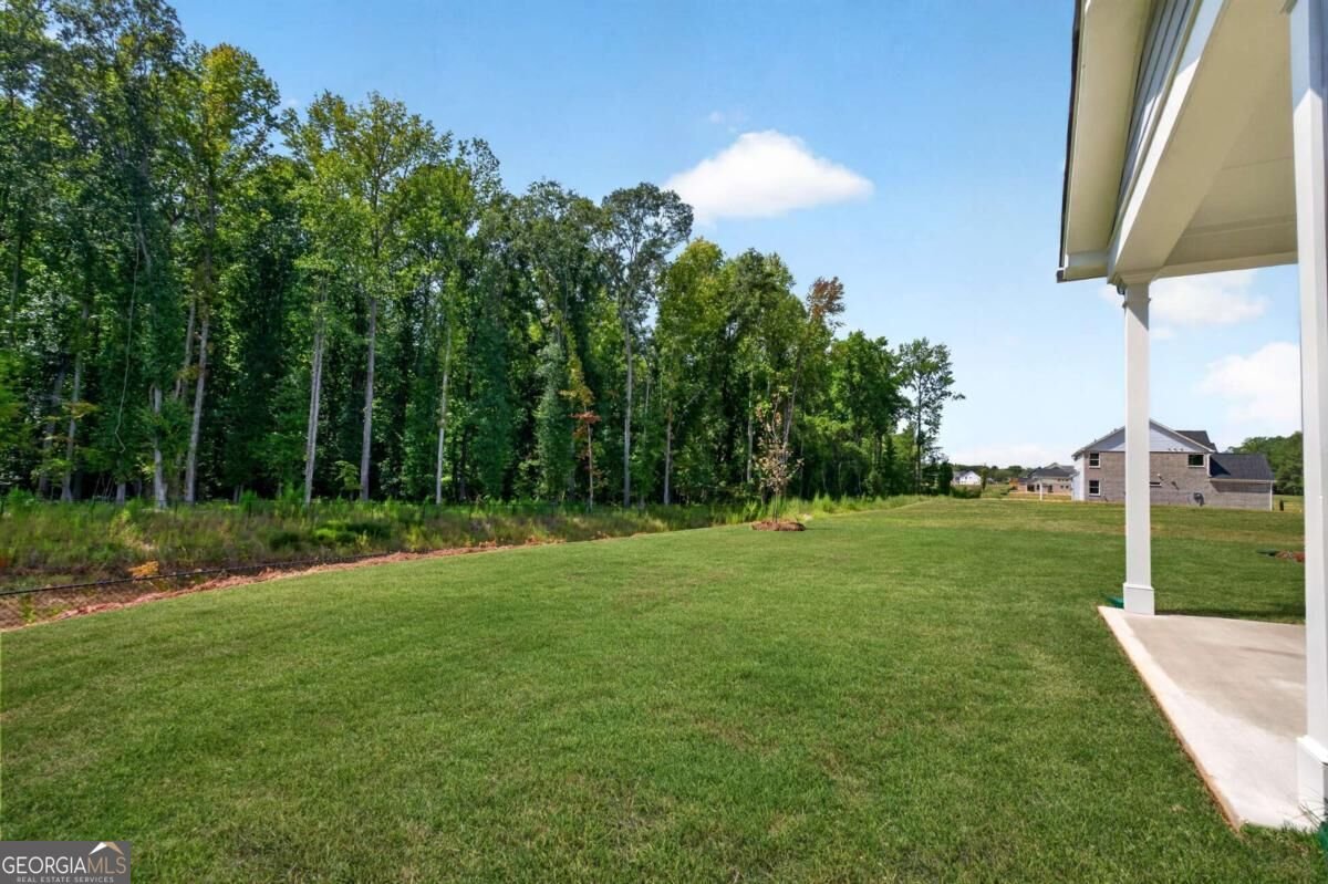 4543 Mary Ruth Way Loganville - Photo 70