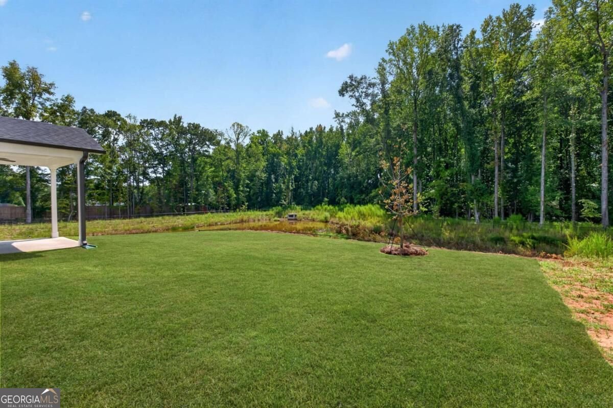 4543 Mary Ruth Way Loganville - Photo 71