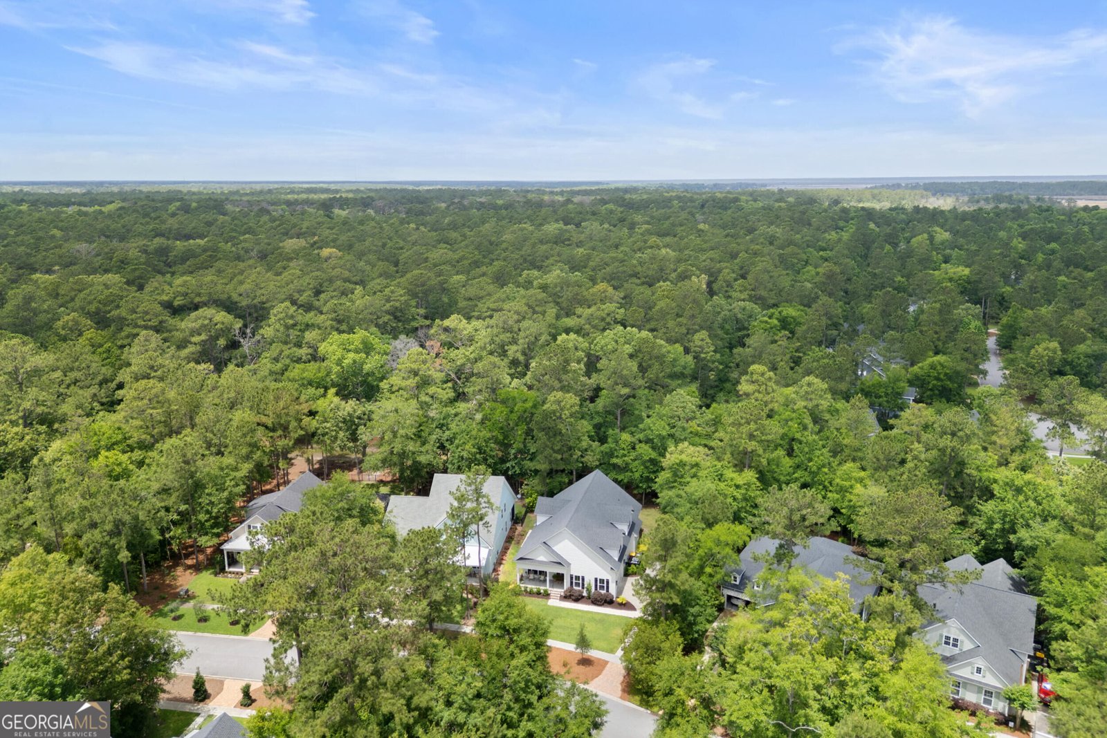 64 Bradford Pear Drive Richmond Hill - Photo 49