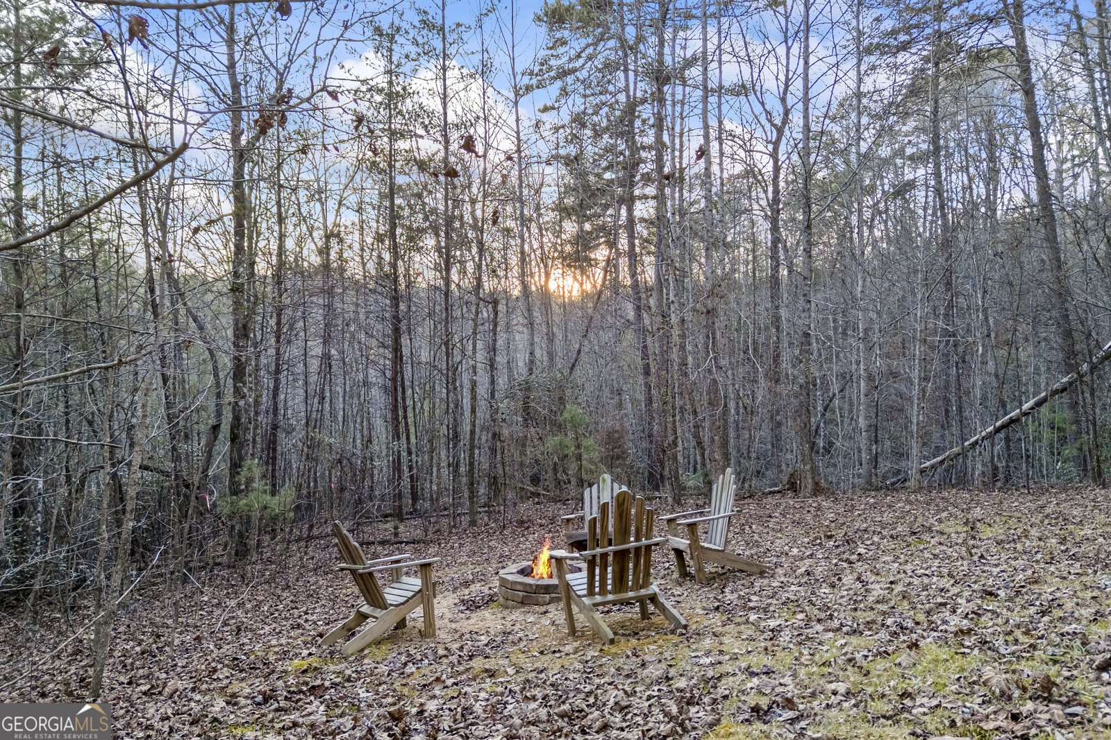 65 Screech Owl Trail Sautee Nacoochee - Photo 14