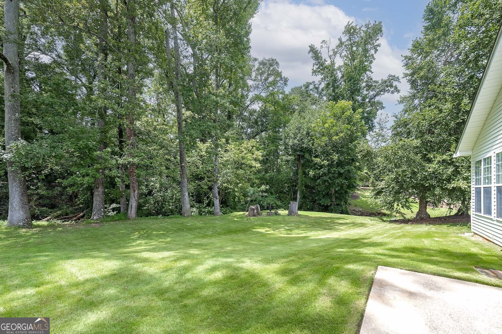 310 Singing Brook Lane McDonough - Photo 8