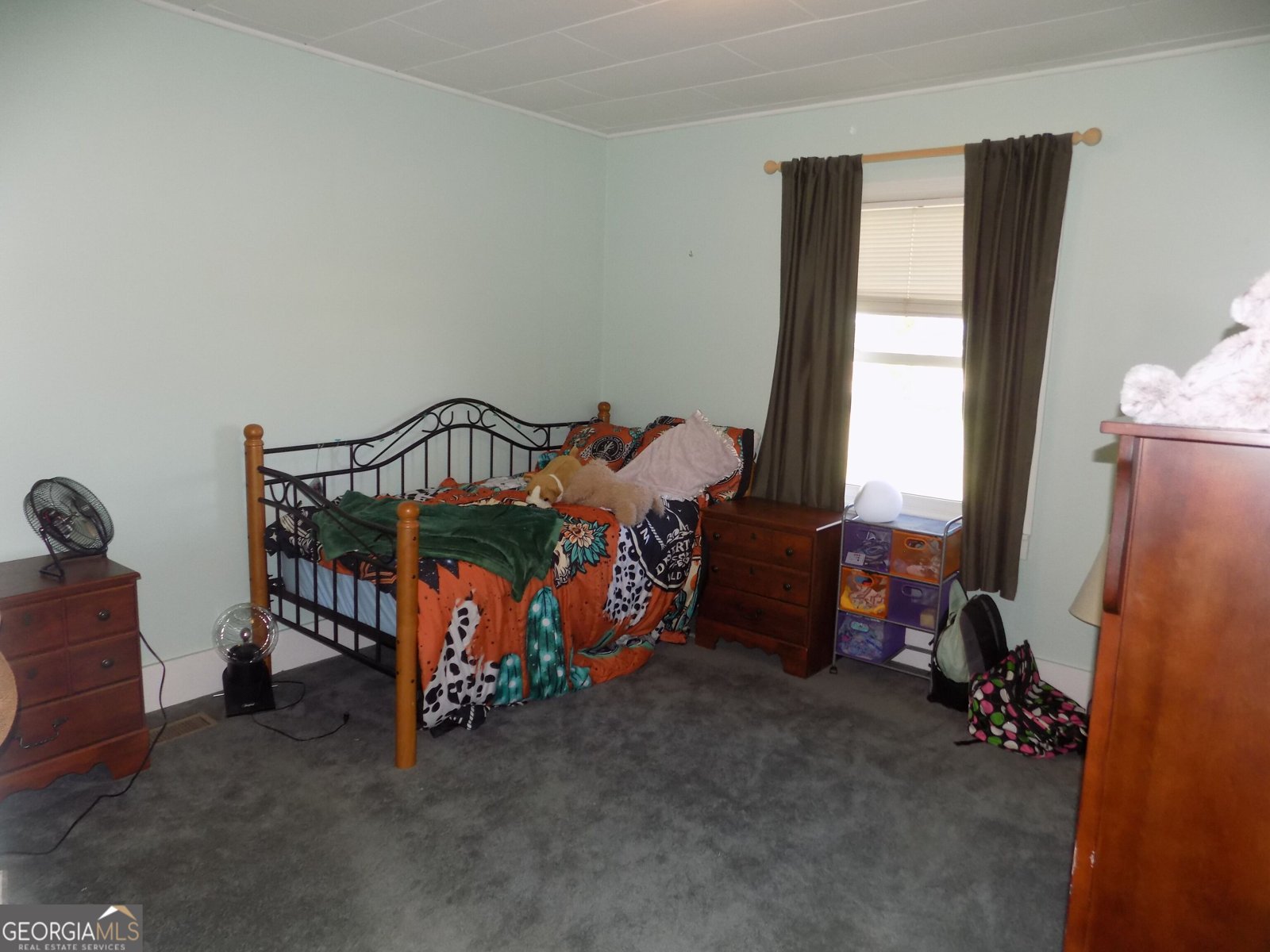 11840 Ga Highway 231 Davisboro - Photo 21