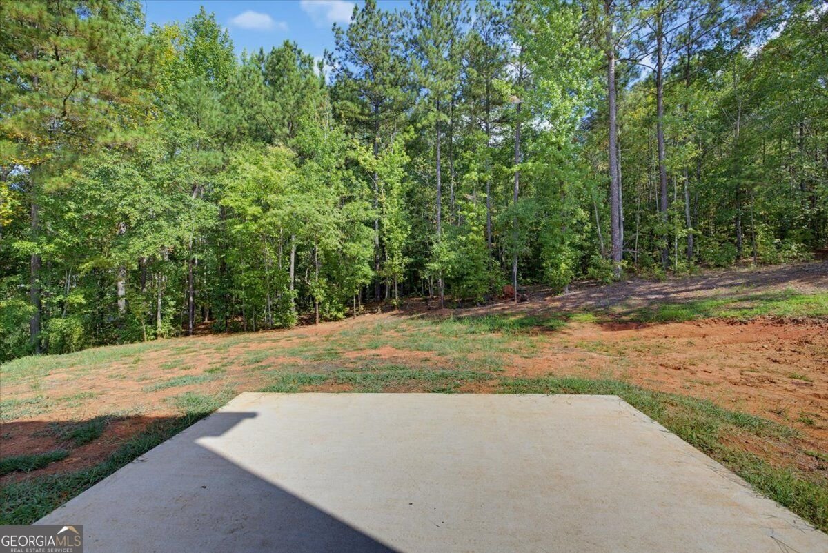 795 Jackson Court Social Circle - Photo 29