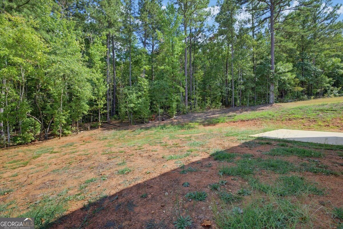 795 Jackson Court Social Circle - Photo 30