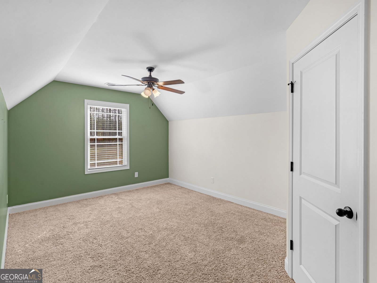 119 Mylee Cove Barnesville - Photo 41