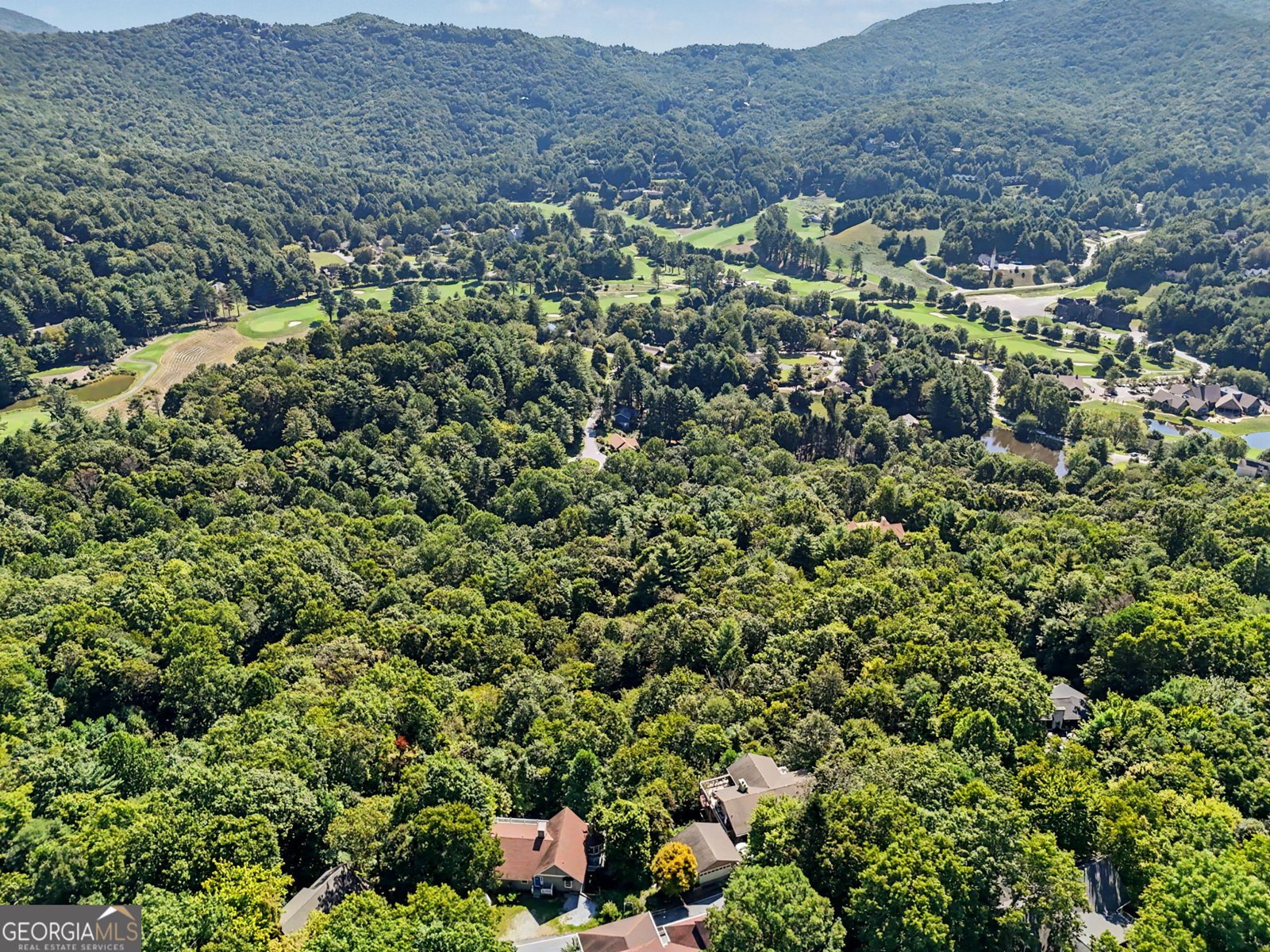 119 Buttermilk Circle Dillard - Photo 37
