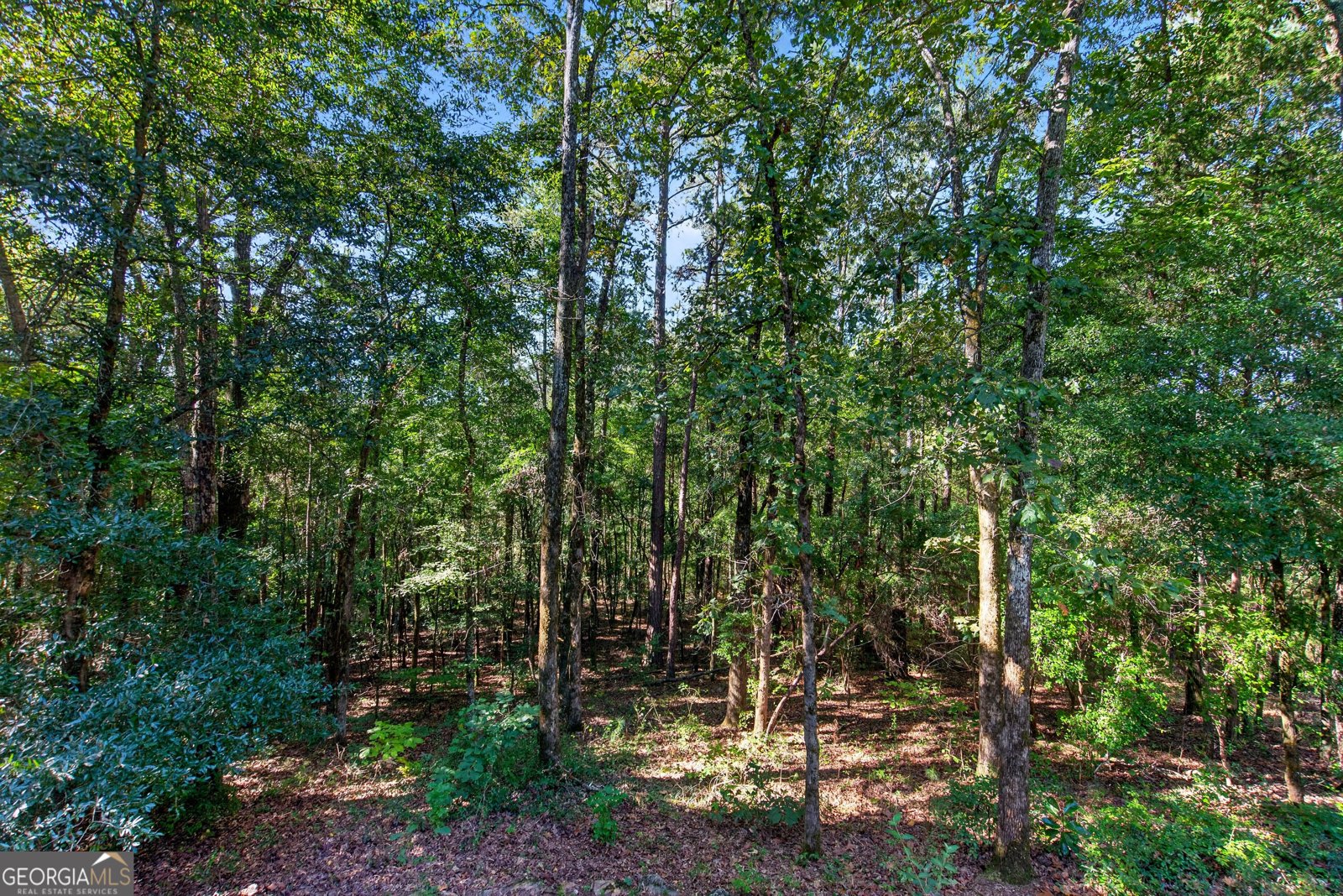 1942 Salem Road Lagrange - Photo 28