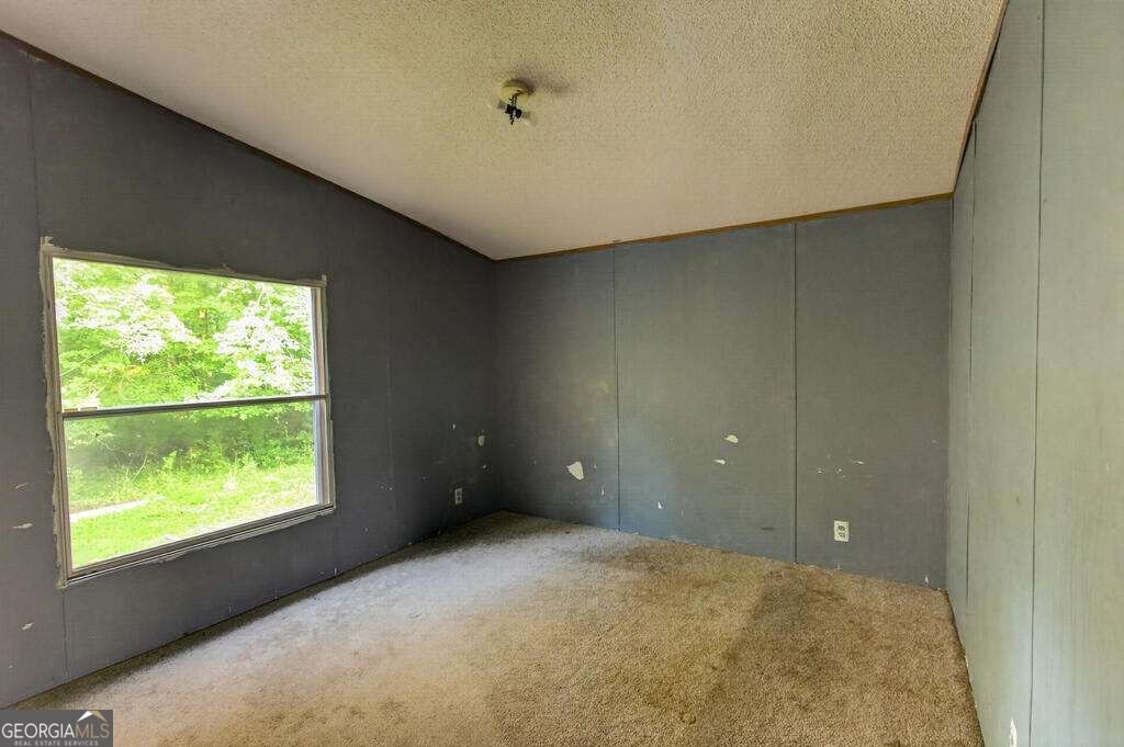 51 Summit Lane Blue Ridge - Photo 7
