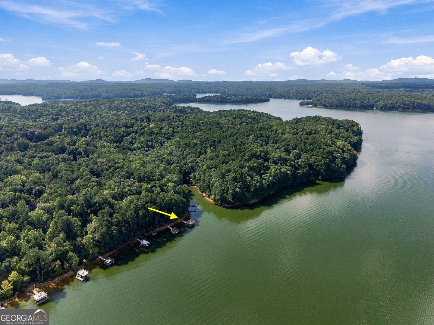 1204 Towne Harbor Court Woodstock - Photo 41