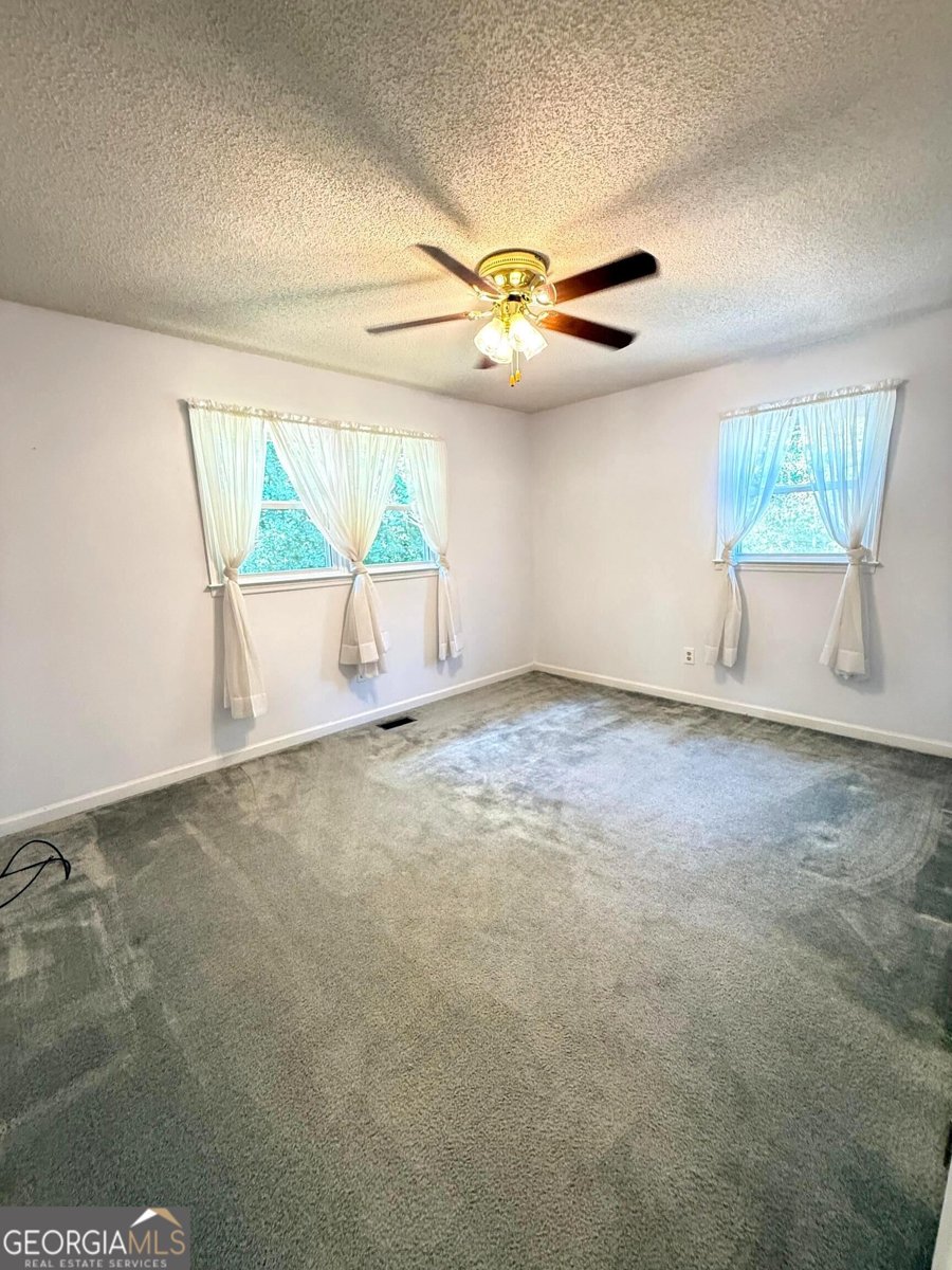5011 Apple Orchard Lane Canton - Photo 13