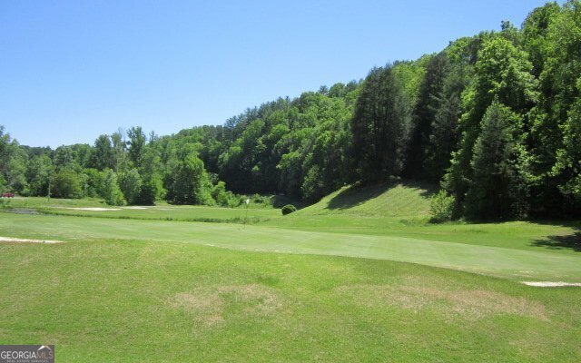 112 Seneca Drive Ellijay - Photo 35