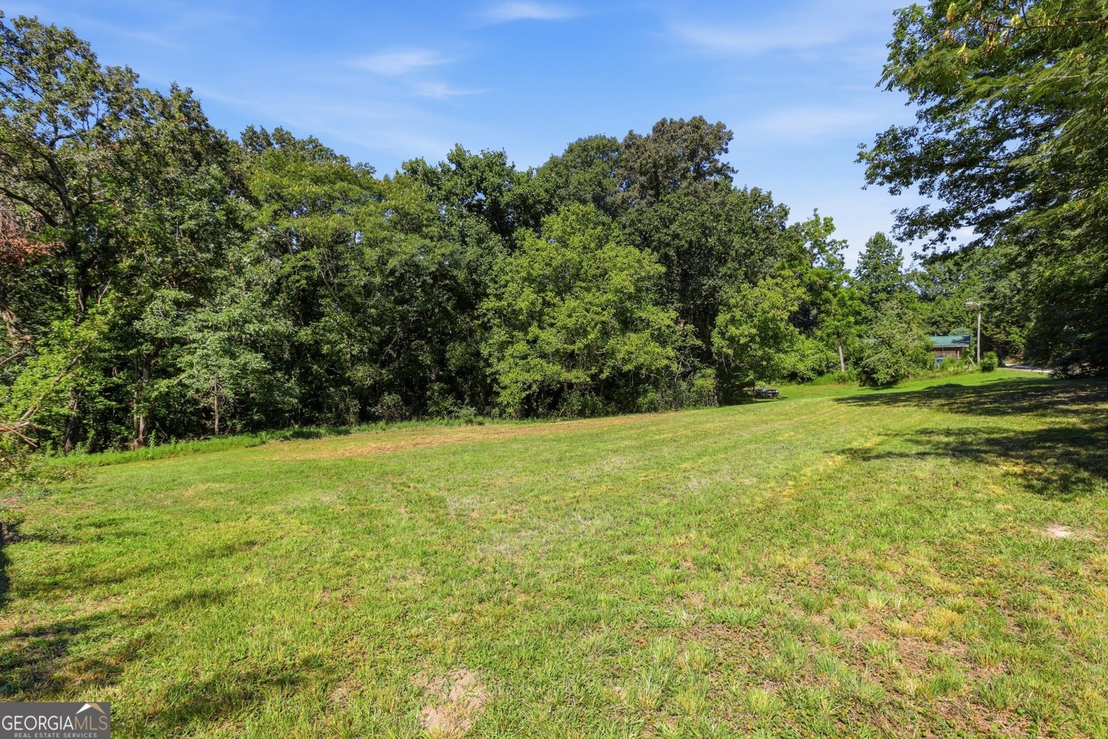 106 Goss Road Clarkesville - Photo 11