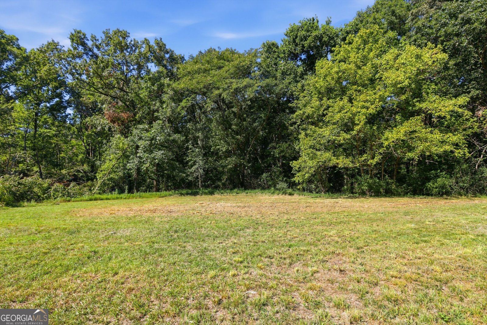106 Goss Road Clarkesville - Photo 13