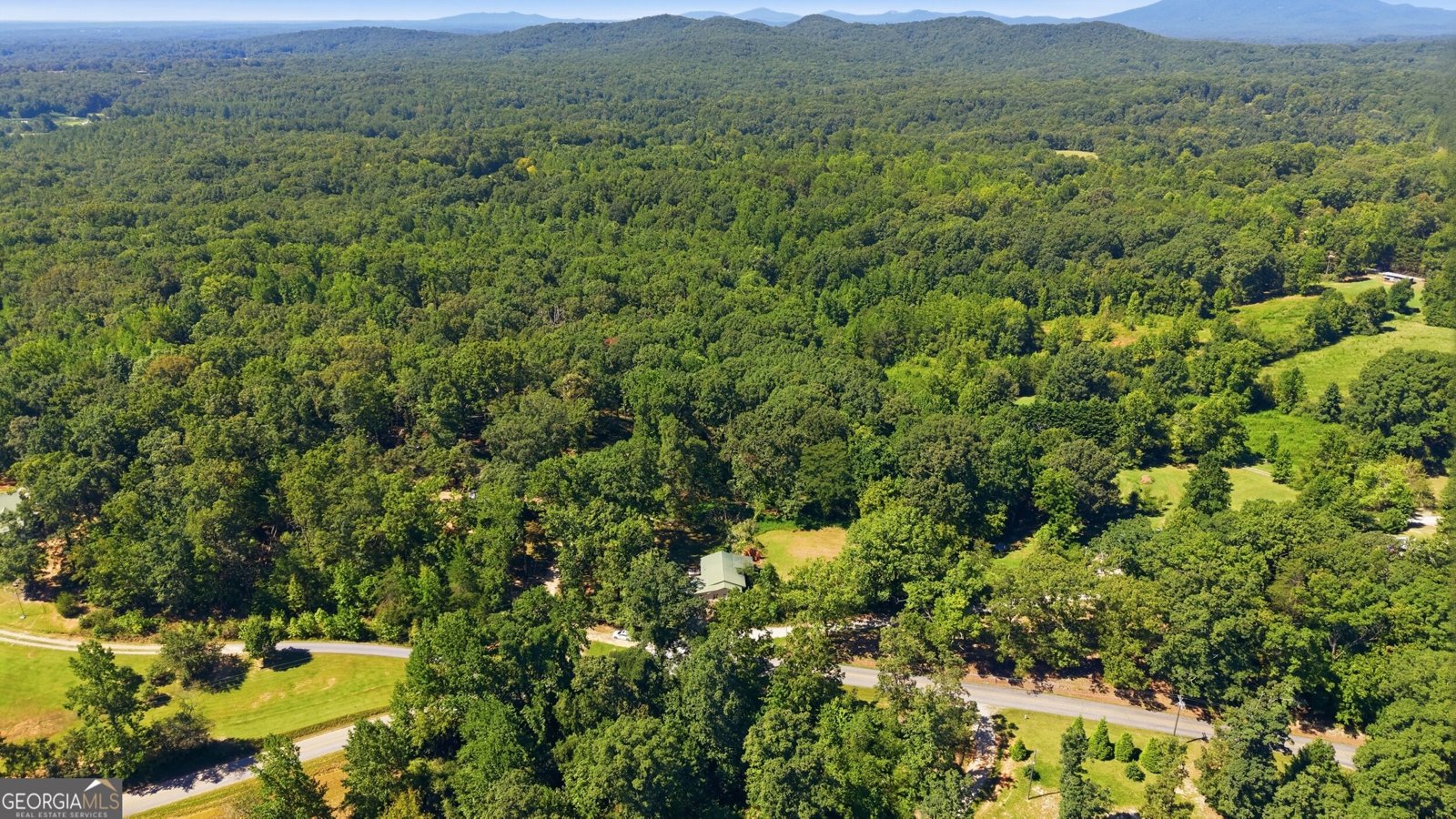 106 Goss Road Clarkesville - Photo 33