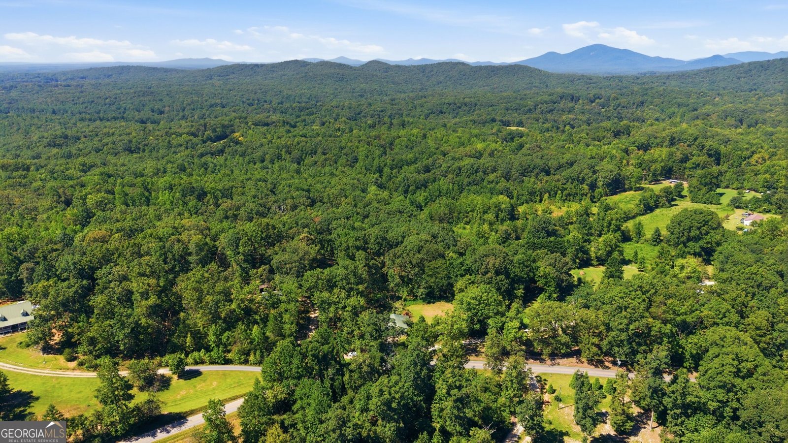 106 Goss Road Clarkesville - Photo 34